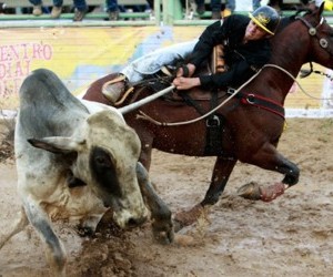 Encuentro Mundial de Coleo. Fuente: laextra.mx